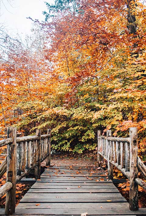 The Ultimate New England Fall Road Trip Itinerary • The Blonde Abroad