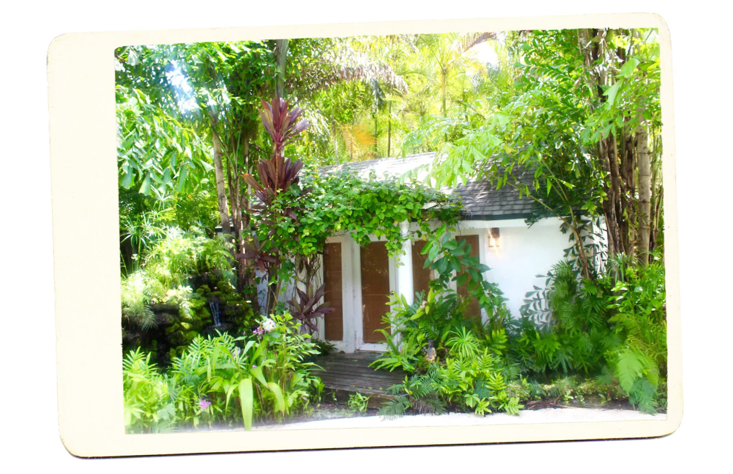 Cottage in the Garden Miami Airbnb