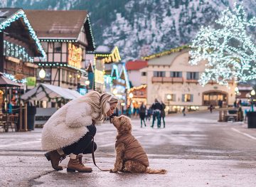 cozy leavenworth washington guide