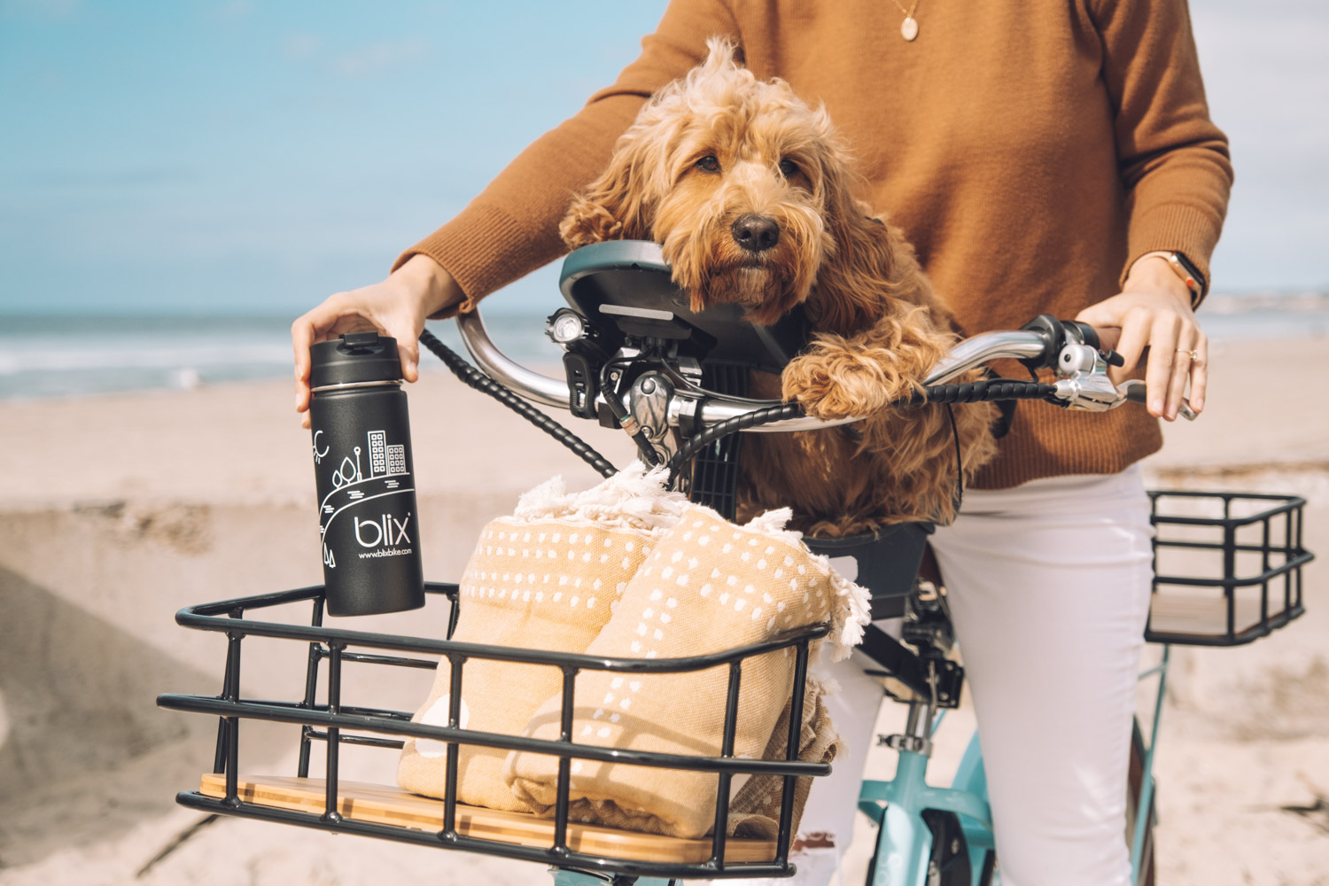 Riding Ebike with Dog