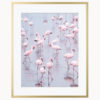 Fine Art Print Flamingos Namibia