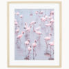 Fine Art Print Flamingos Namibia