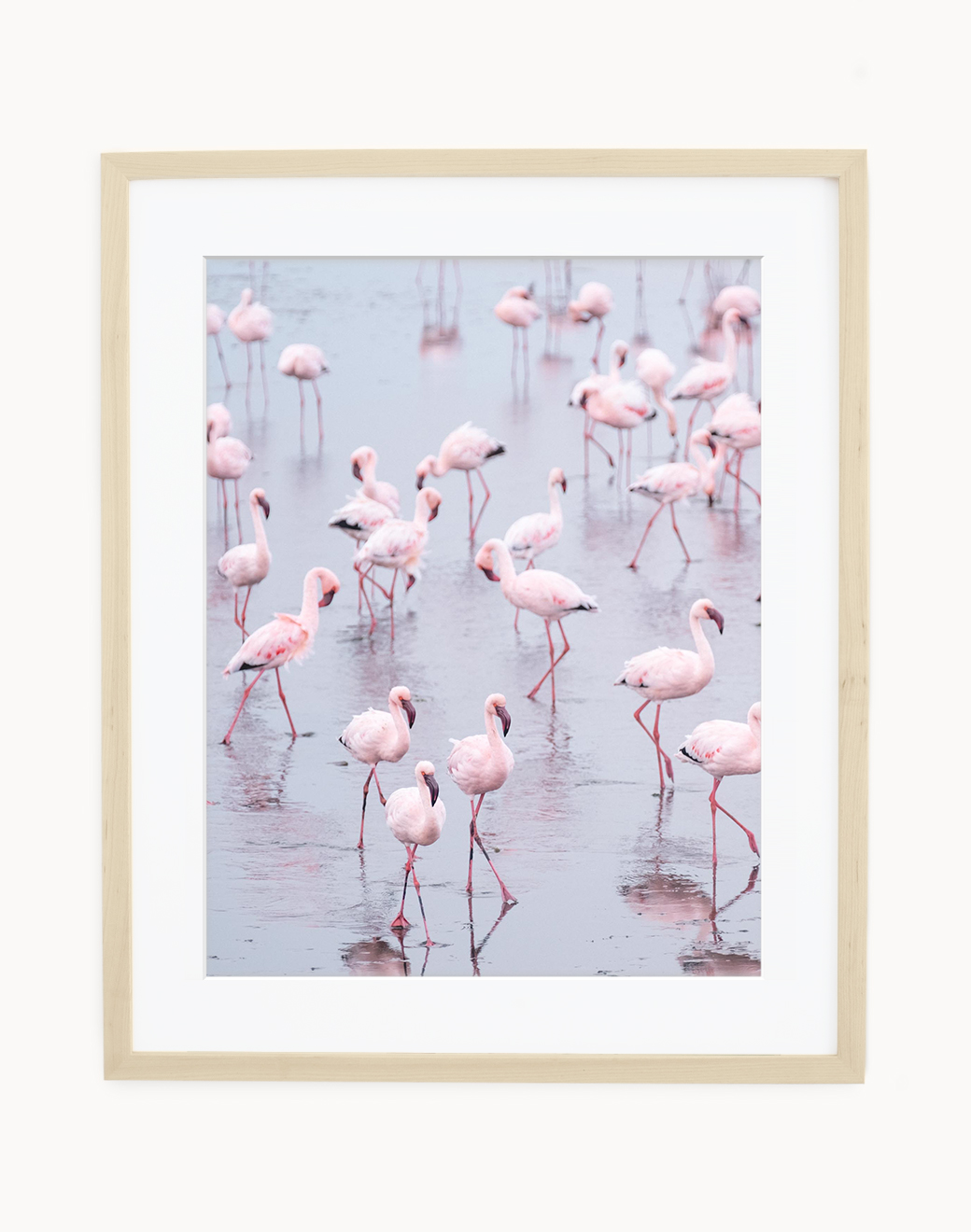 Fine Art Print Flamingos Namibia