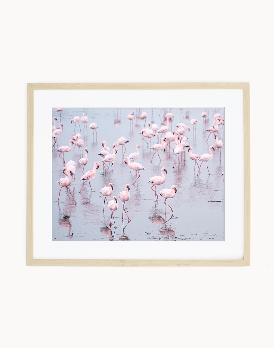 Namibia Flamingos Art Print