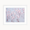 Namibia Flamingos Art Print