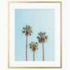 Palm Tree Art Print