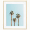 Palm Tree Art Print