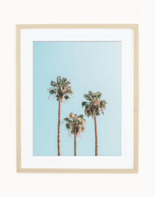 Palm Tree Art Print