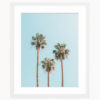 Palm Tree Art Print