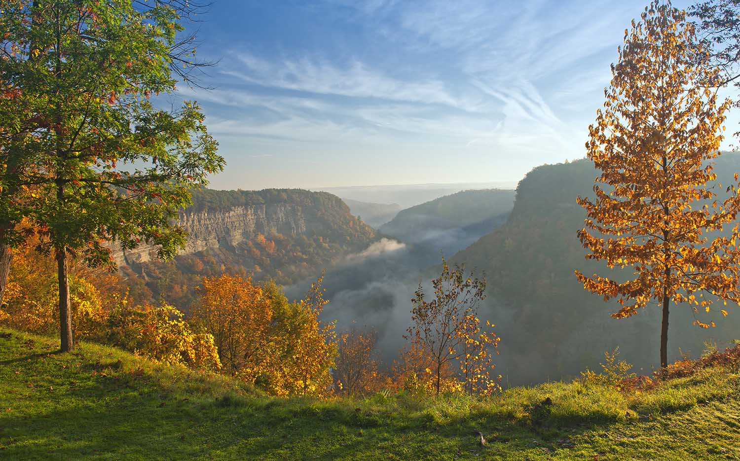 finger lakes new york