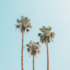 Palm Springs Art Print