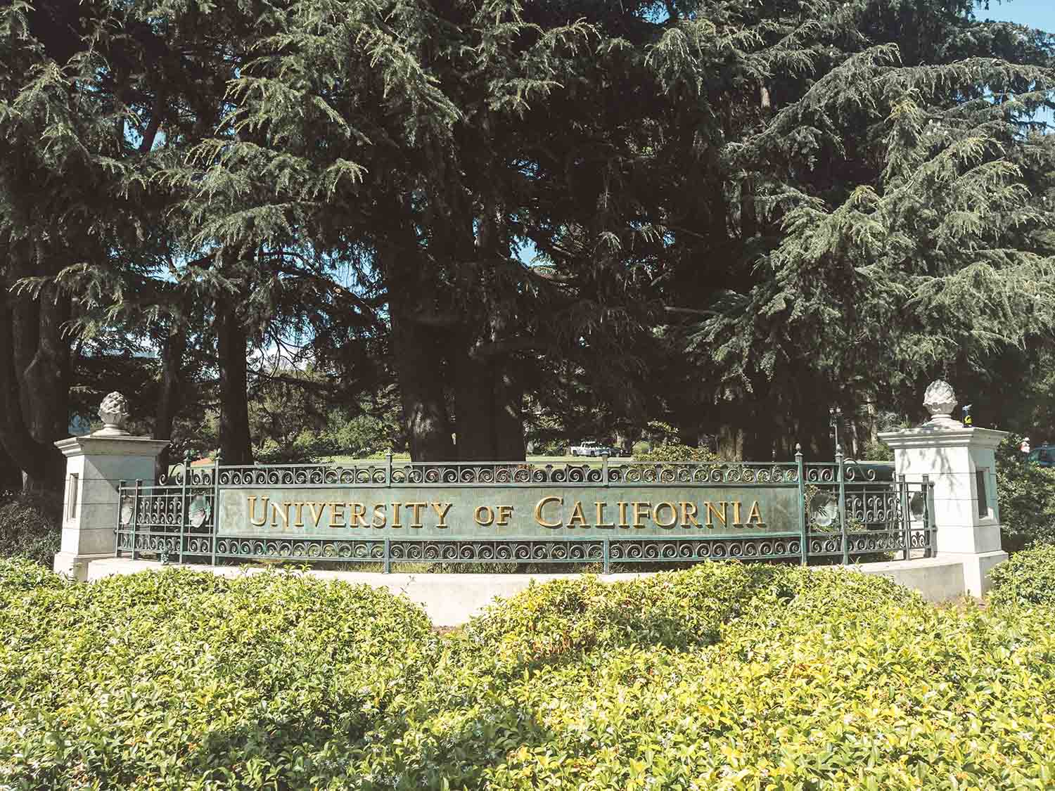 University of California Berkeley Campus