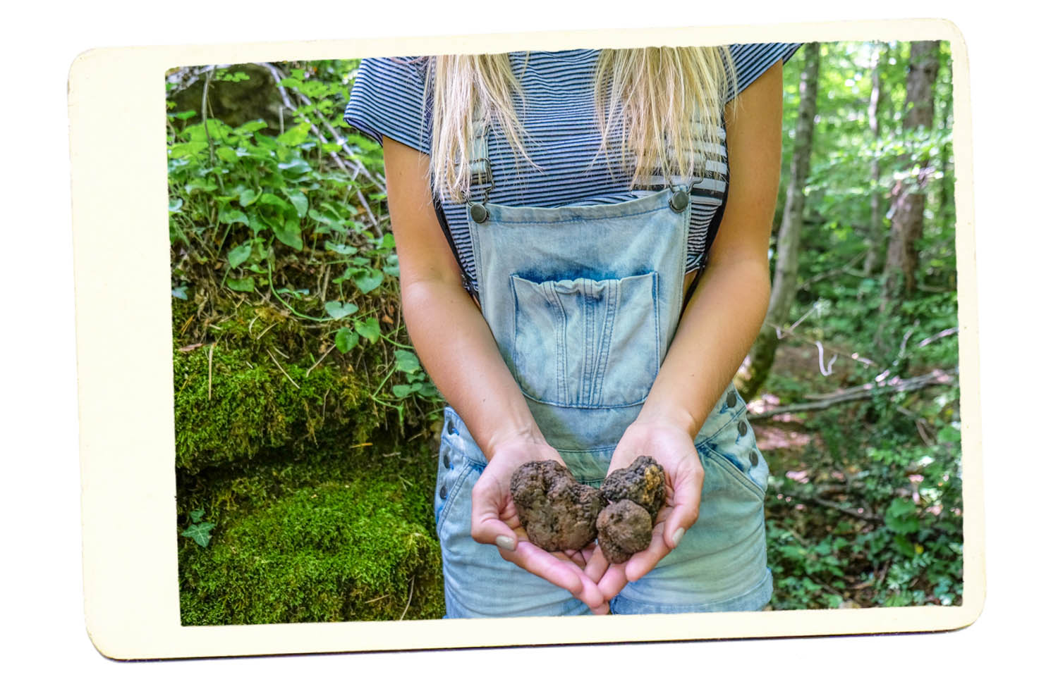 Truffles Croatia