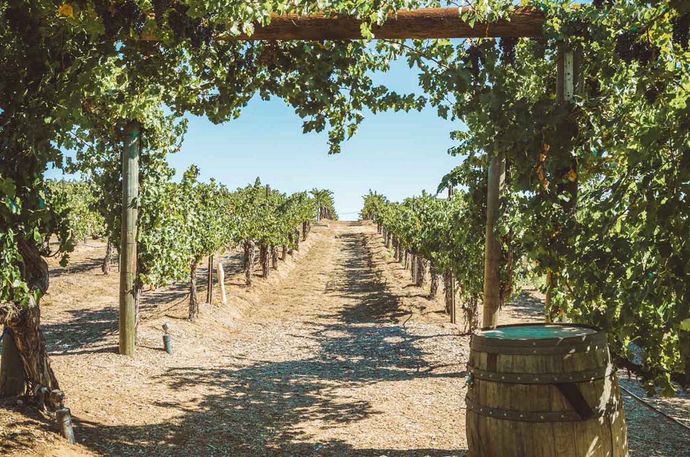 The Ultimate Temecula Travel Guide • The Blonde Abroad