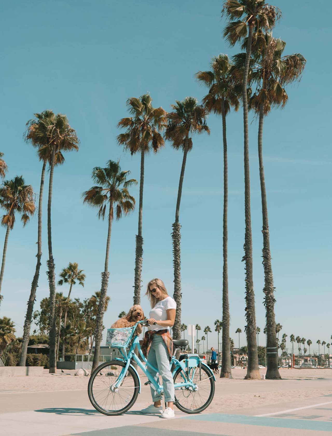 Belmont Shore Long Beach Biking Dog