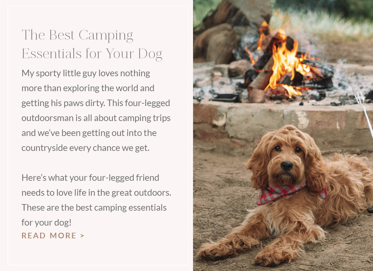 https://www.theblondeabroad.com/best-camping-essentials-for-your-dog/