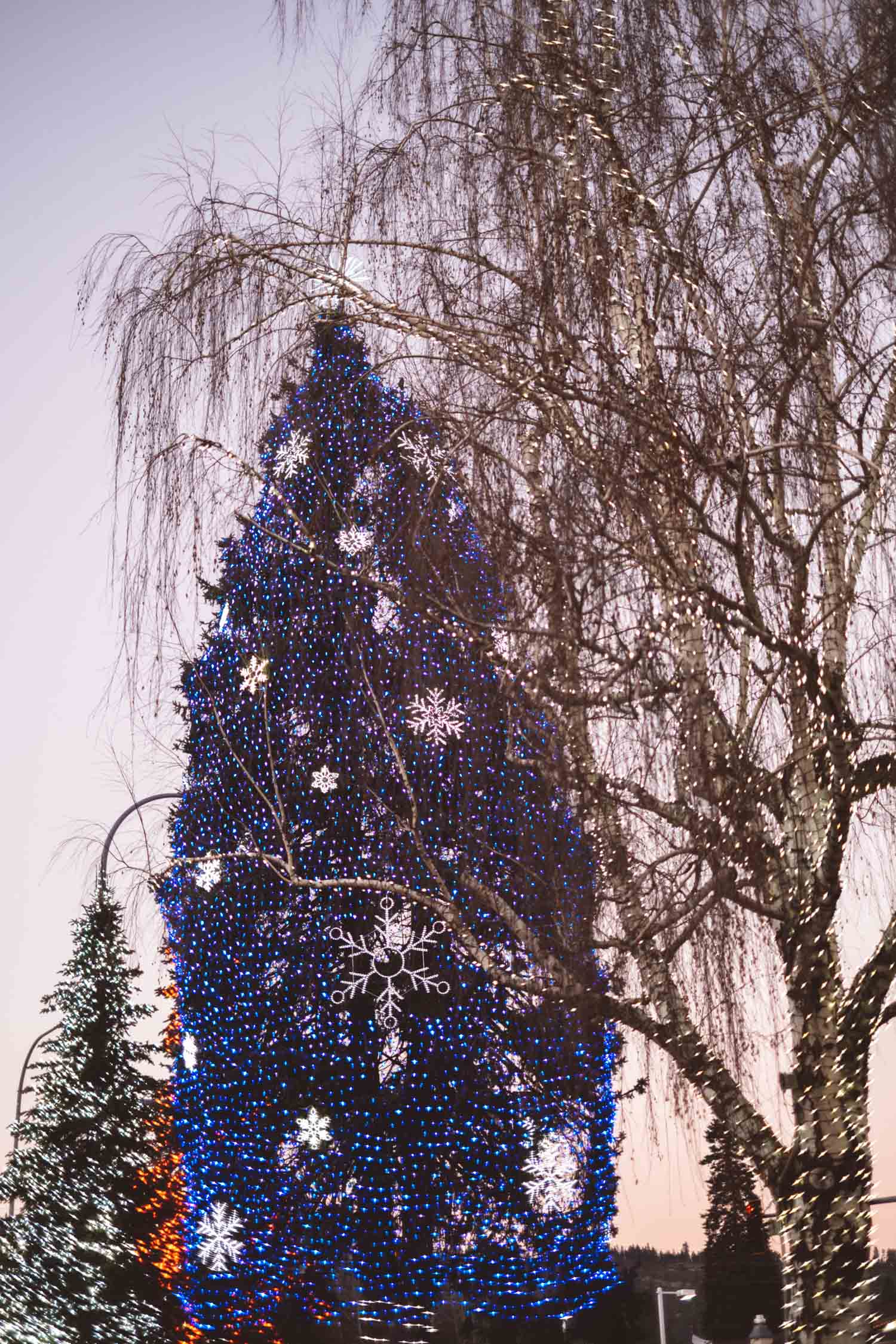 Christmas Holidays Leavenworth Washington Day Trip Seattle
