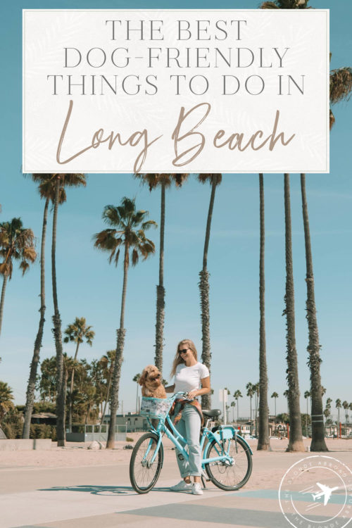 The Best DogFriendly Things To Do in Long Beach, California • The