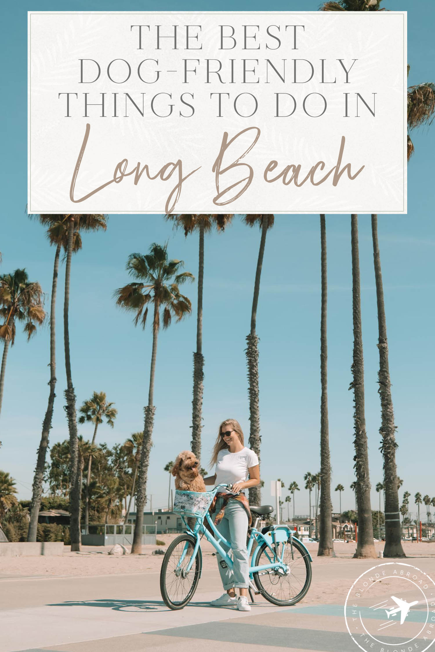 Dog Friendly Long Beach