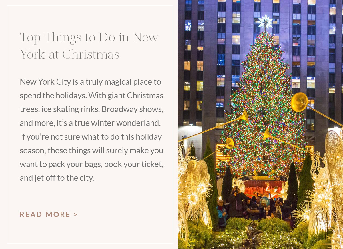 https://www.theblondeabroad.com/top-things-to-do-in-new-york-at-christmas/