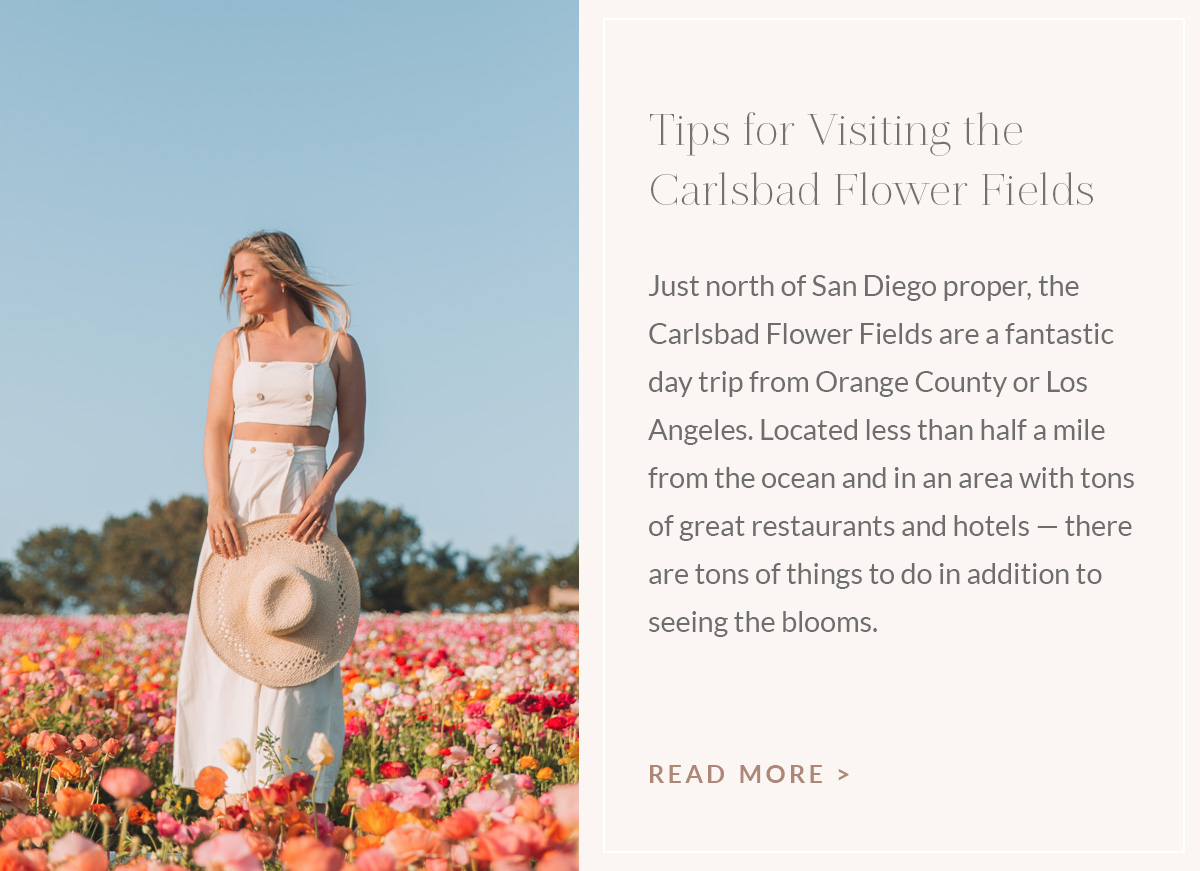 https://www.theblondeabroad.com/tips-for-visiting-the-carlsbad-flower-fields/
