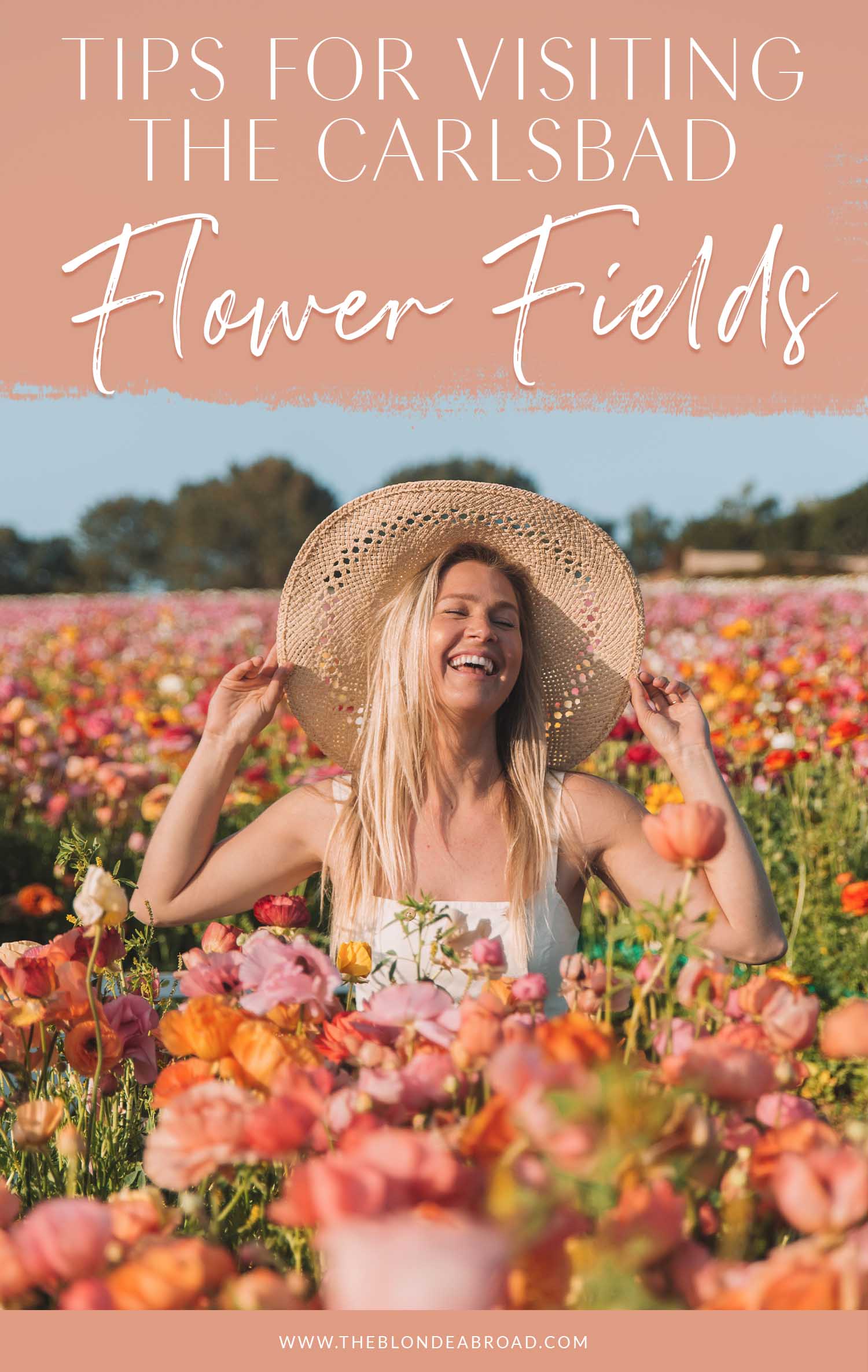 Tips for Visiting Carlsbad Flower Fields