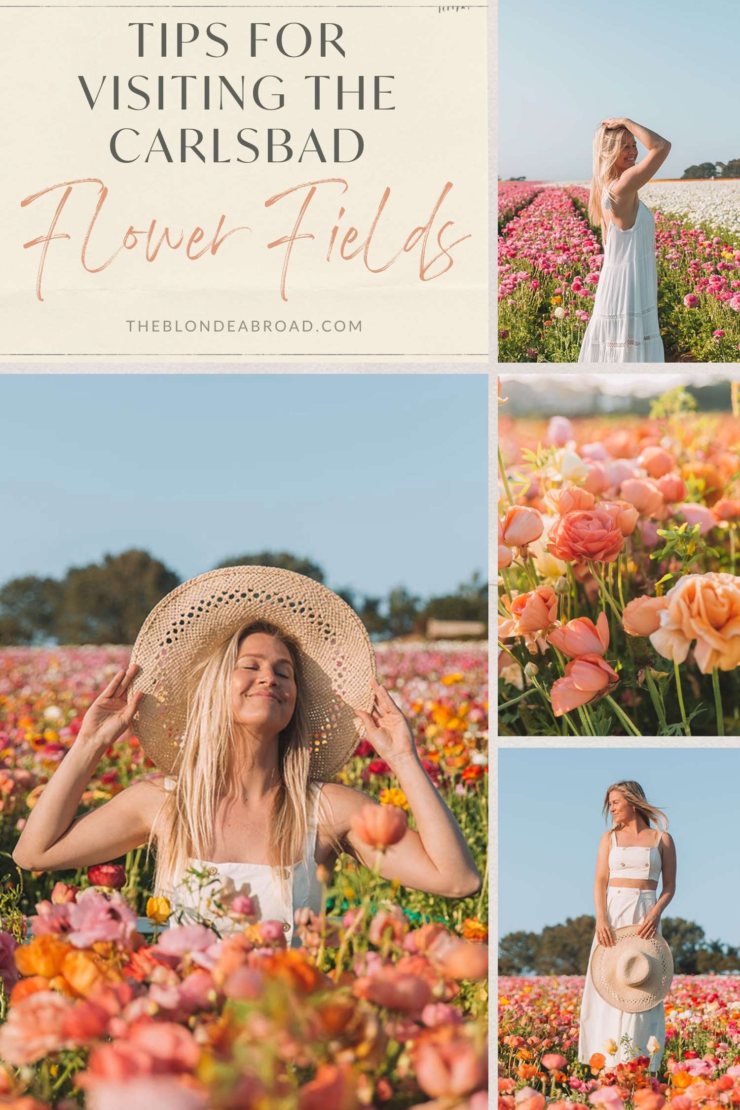 Tips for Visiting the Carlsbad Flower Fields