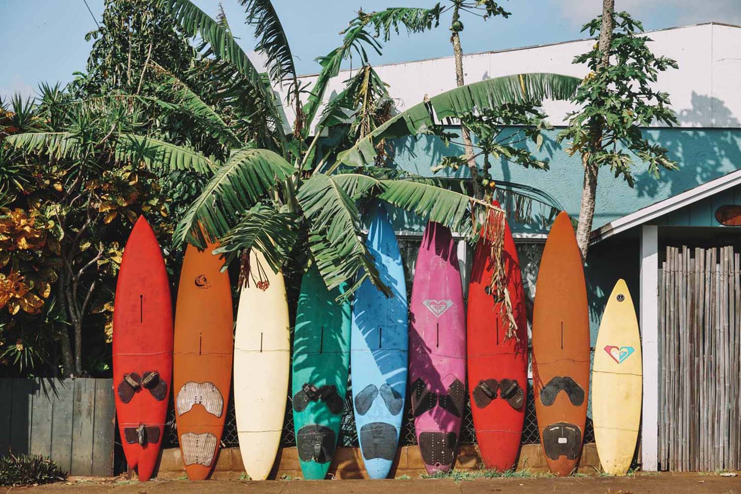 Paia Hawaii Colorful Surfboards