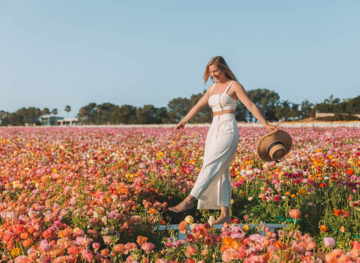 Carlsbad Flower Fields Spring Blonde Travel