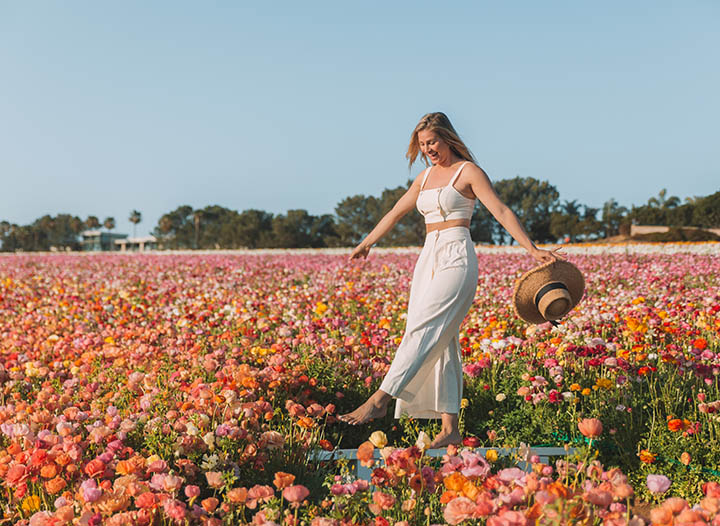 Tips for Visiting the Carlsbad Flower Fields • The Blonde Abroad