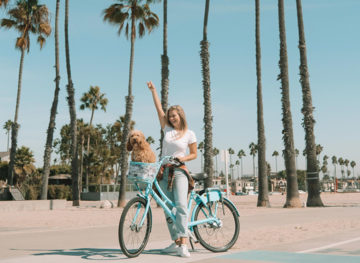 Ultimate Guide to Long Beach California Blonde on Bike Dog