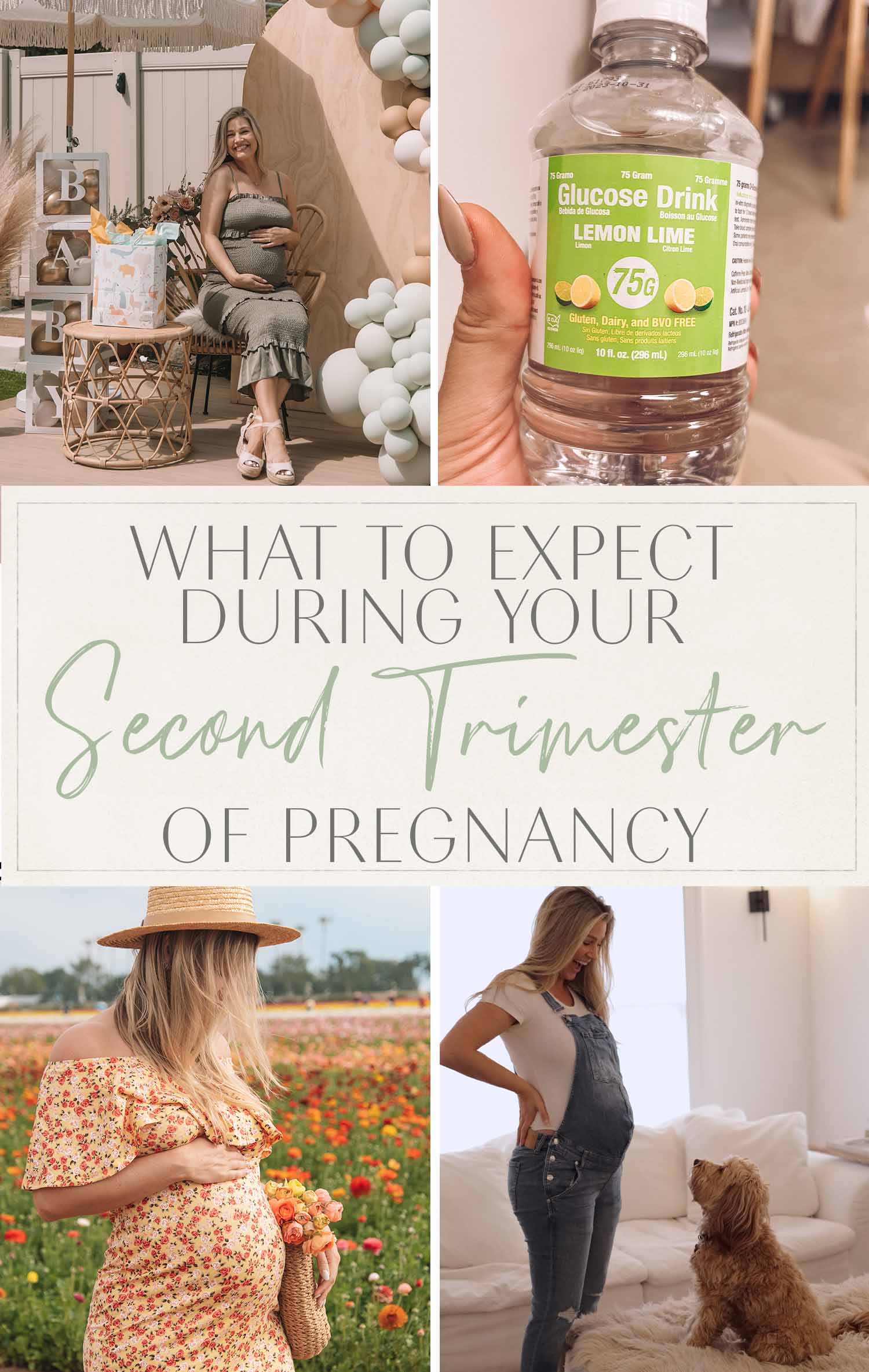 What to Expect During Your Second Trimester of Pregnancy • The