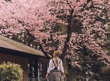 portland japanese garden cherry blossoms girl