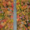 New England Fall Map Product (4) New England Fall Map Product (4)