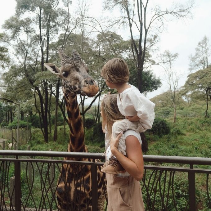 Giraffes in Botswana at A&K Sanctuary